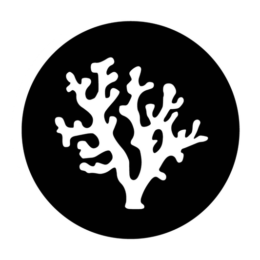 Restoring the ocean, one coral at a time